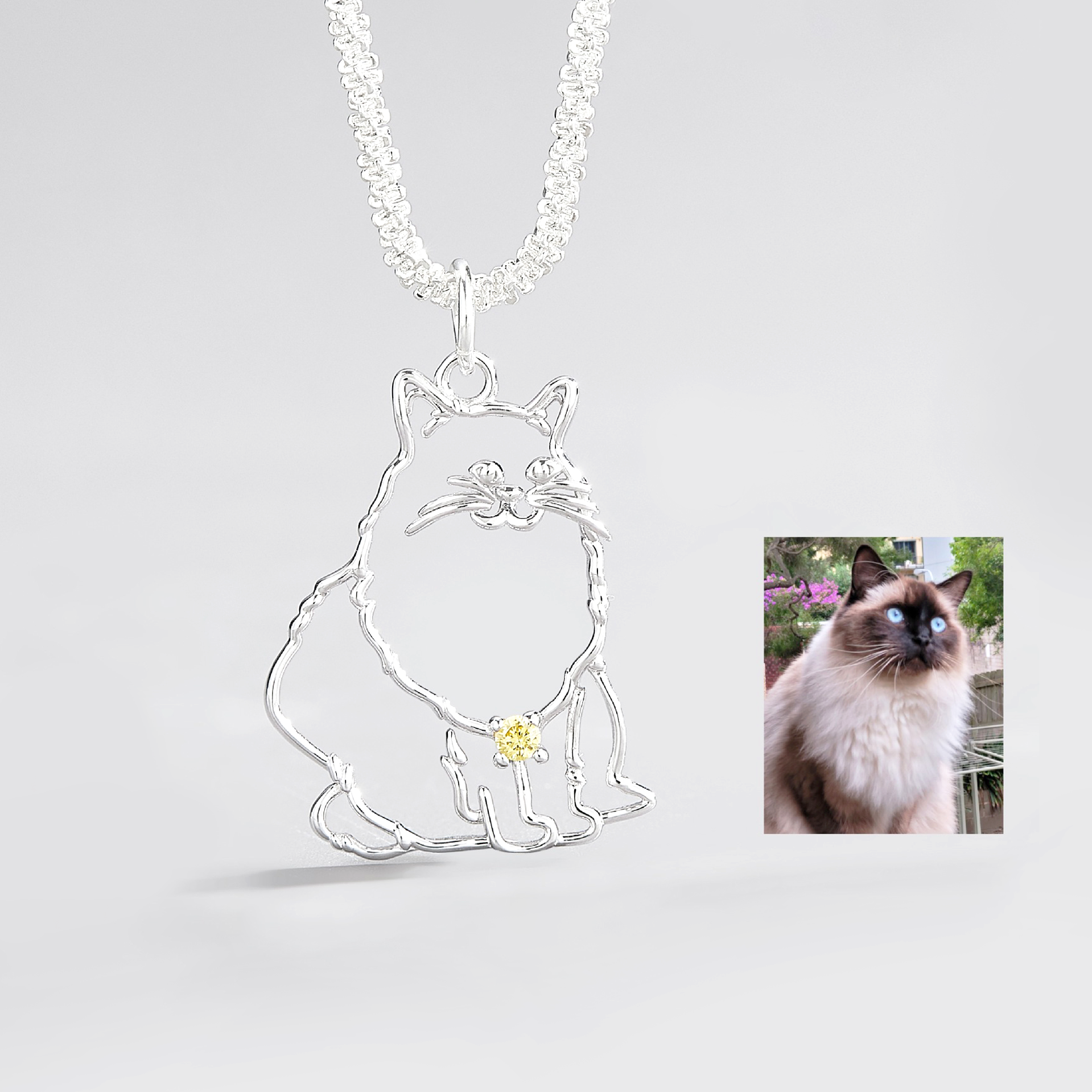 Personalized pet necklace - troveclaw